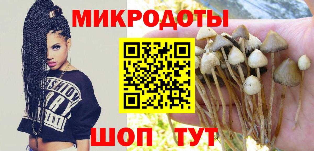 Саратов  Галлюциногенные грибы мухоморы  Псилоцибиновые грибы прущие грибы  Вход с VPN 